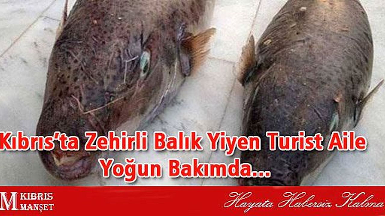Kıbrıs’ta Zehirli Balık Yiyen Turist Aile Yoğun Bakımda