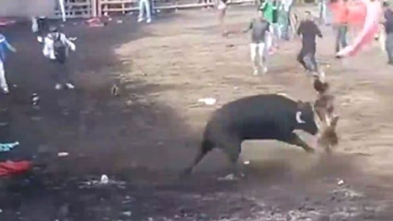 Boğa Güreşindeki Kan Donduran Görüntüler Sosyal Medyada Olay Oldu