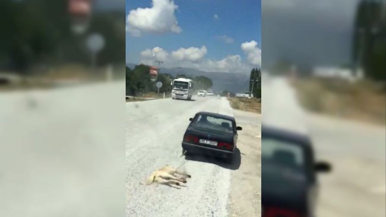Cani Adam, Köpeği Arabanın Arkasına İple Bağlayarak Sürükledi!