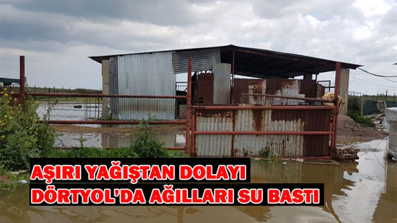 Aşırı yağıştan dolayı Dörtyol’da ağılları su bastı