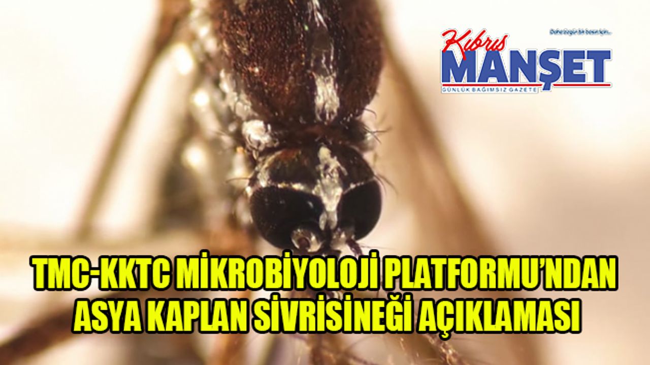 TMC-KKTC Mikrobiyoloji Platformu’ndan Asya Kaplan Sivrisineği açıklaması...
