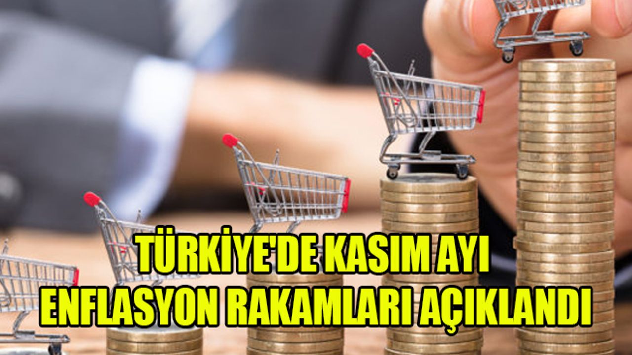Türkiye'de Kasım ayı enflasyon rakamları açıklandı