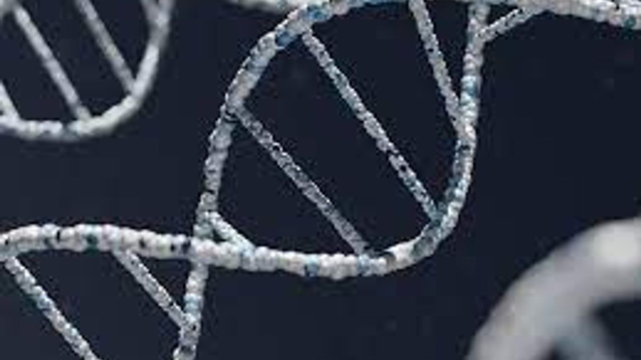 ABD'deki Çalışmaya Göre, Ayak İzi Veya Nefesten İnsan DNA'sı Tespit Edilebiliyor