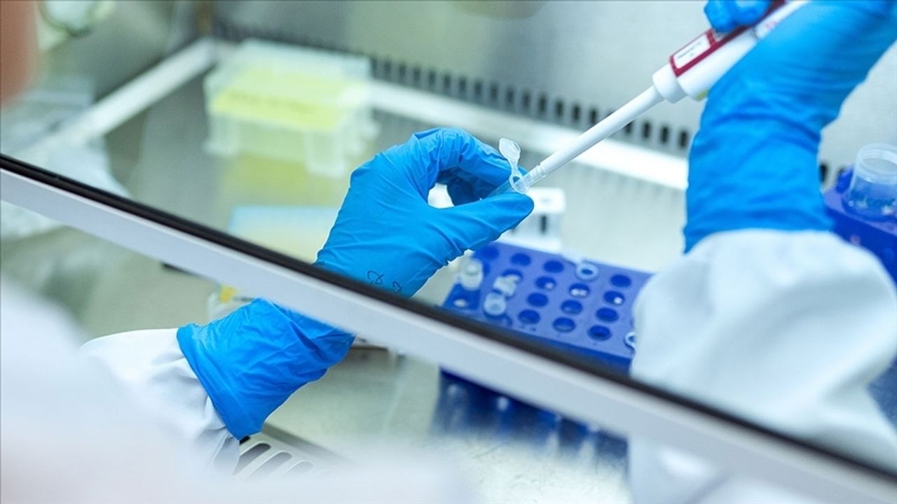 Bilim İnsanları, Kanserin Bağışıklık Sisteminden Nasıl Kaçındığını Buldu