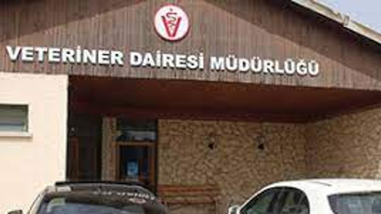 Veteriner Dairesi Girne’de yapılan baskında etiket bilgisi olmayan ürünleri imha etti