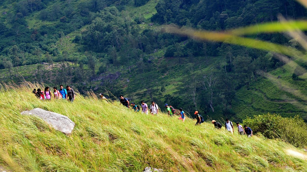 Sri Lanka'da Dağ Yürüyüşü Yaparken Mahsur Kalan 180 Öğrenci Kurtarıldı