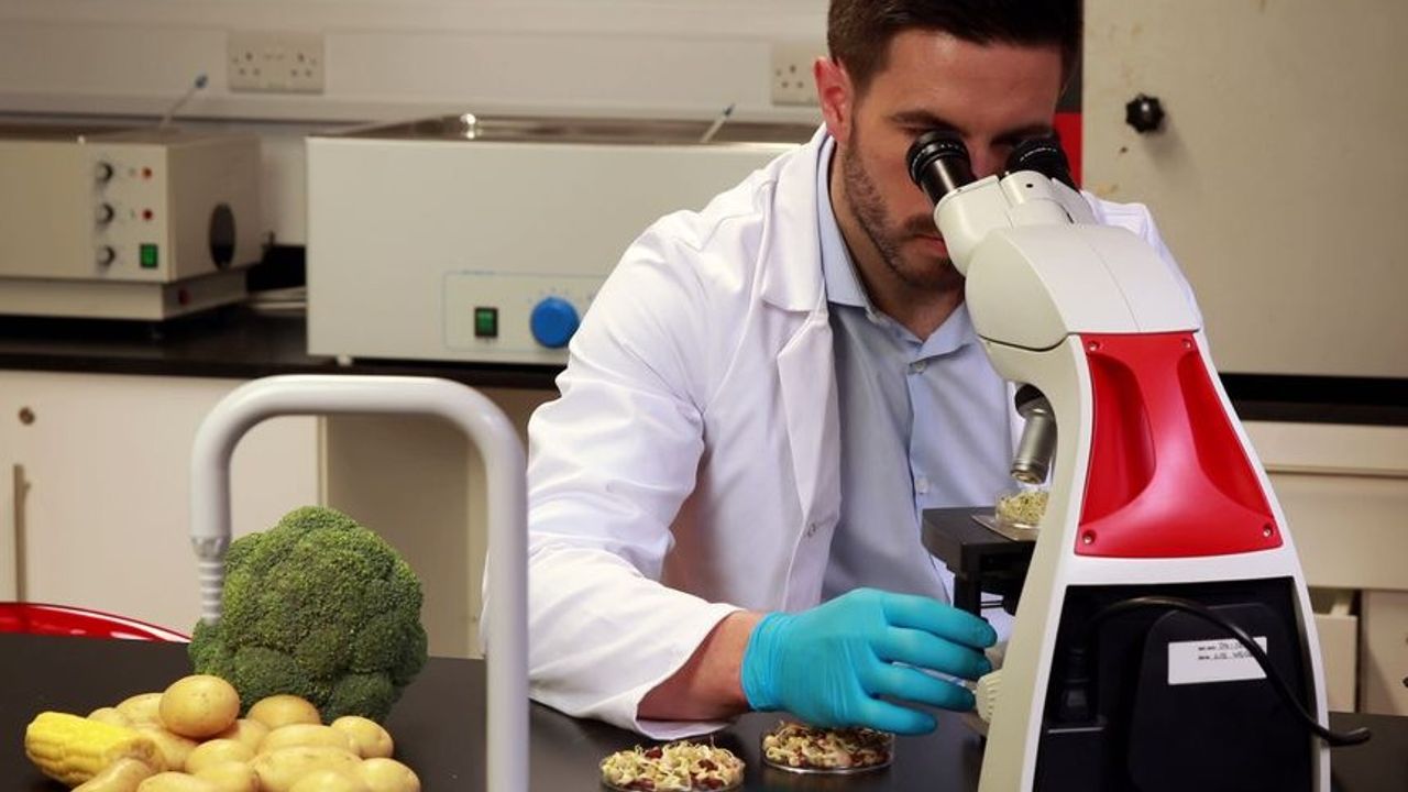 Haftalık gıda denetim sonuçları: Üç üründe limit üstü bitki koruma ürünü tespit edildi