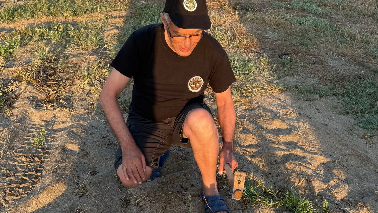Her Daim Doğa Dostları'ndan Deniz Şebboyu için koruma çabası