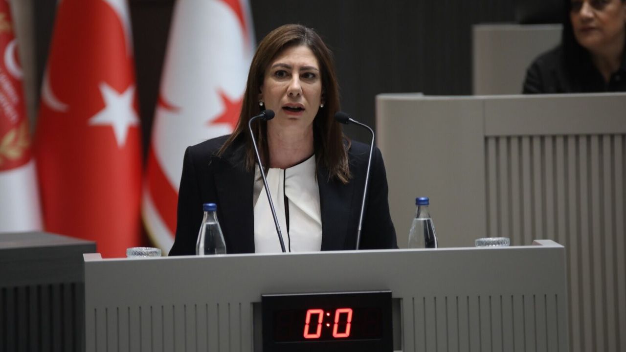 CTP Genel Başkanı İncirli'nin Meclis konuşması...