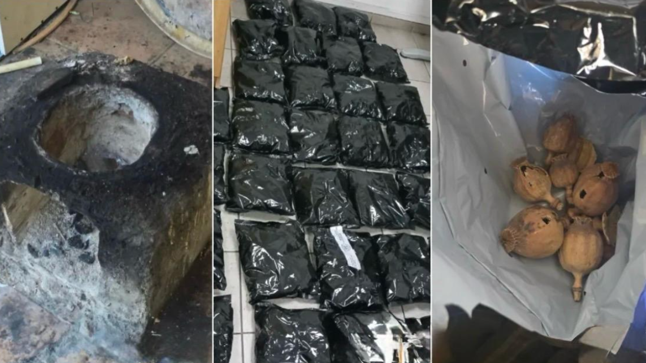 Güney Kıbrıs’ta ilk kez ve çok miktarda afyon haşhaşı ele geçirildi