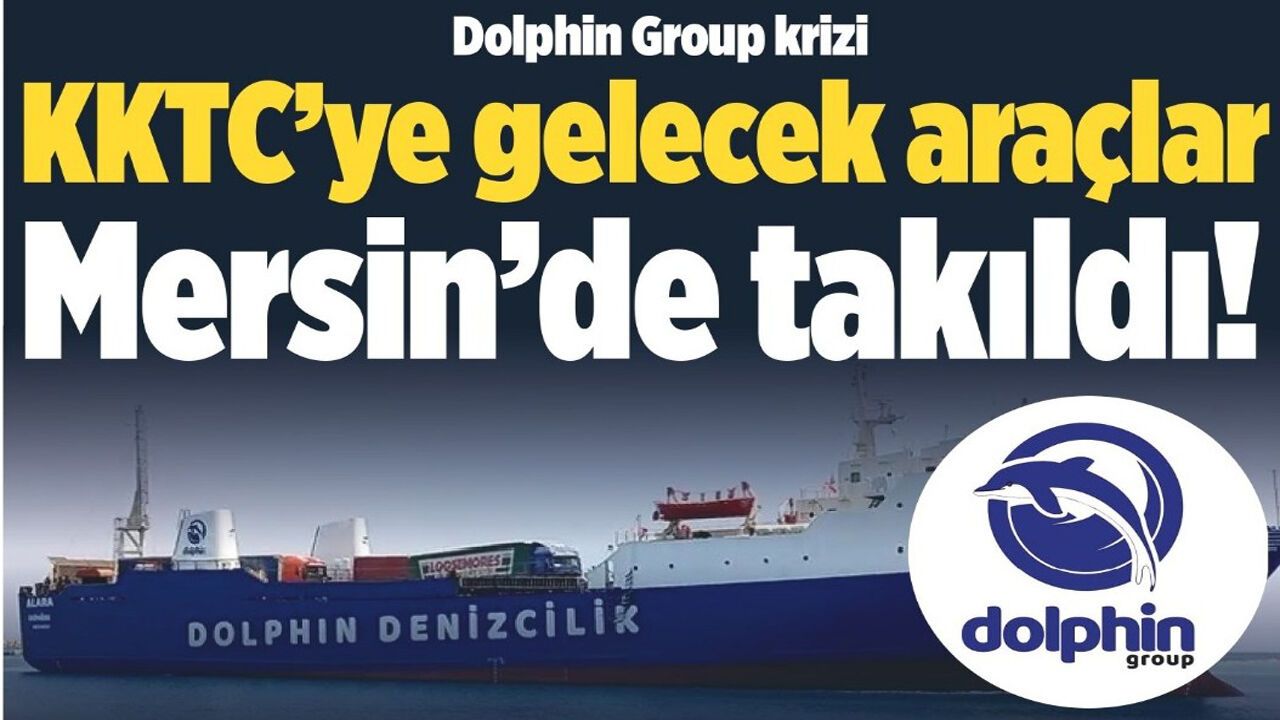 Dolphin Group krizi