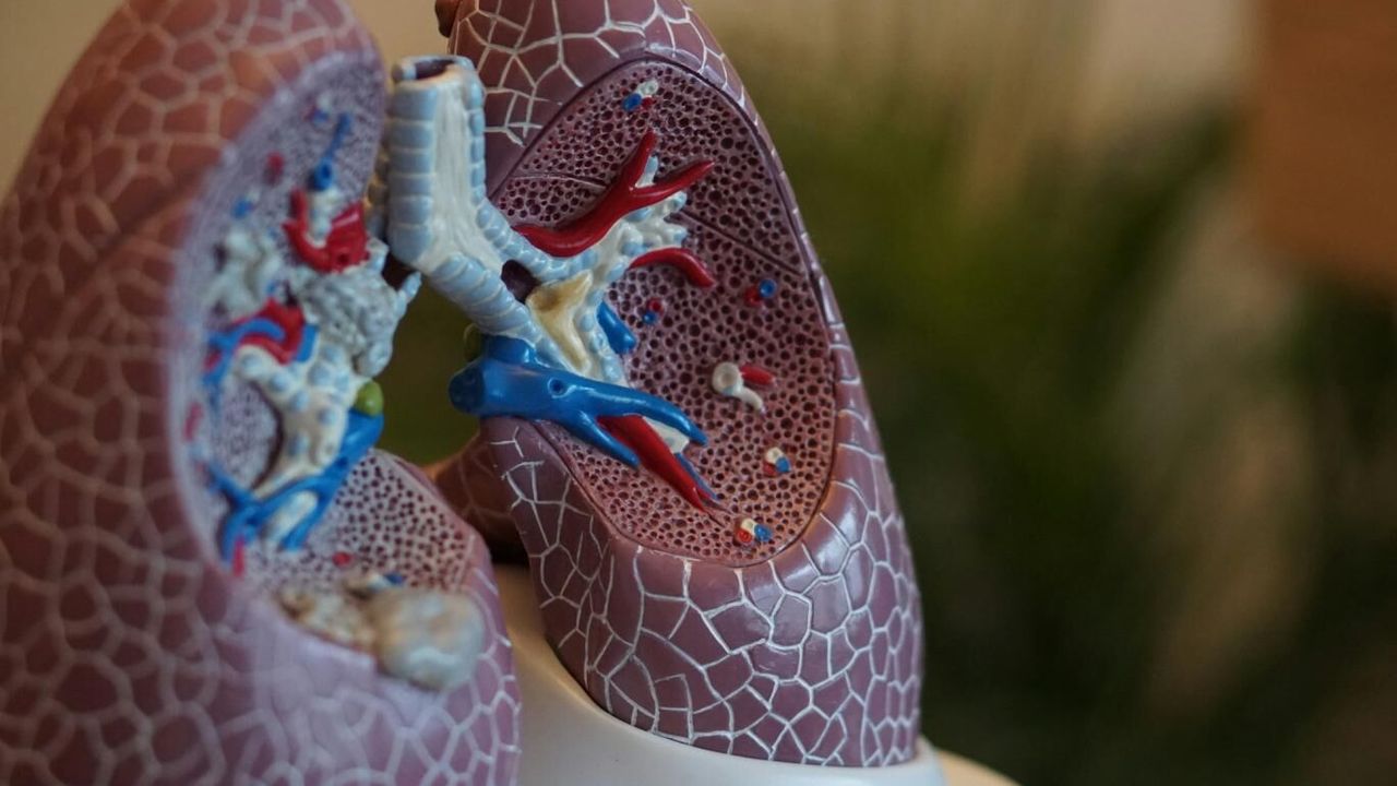 Uzmanlar ciğerlere iyi gelen vitaminleri açıkladı