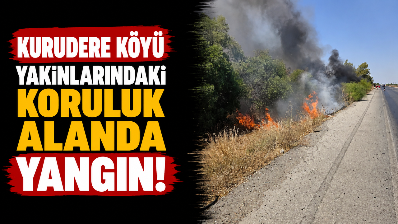 Kurudere köyü yakınlarındaki koruluk alanda yangın...