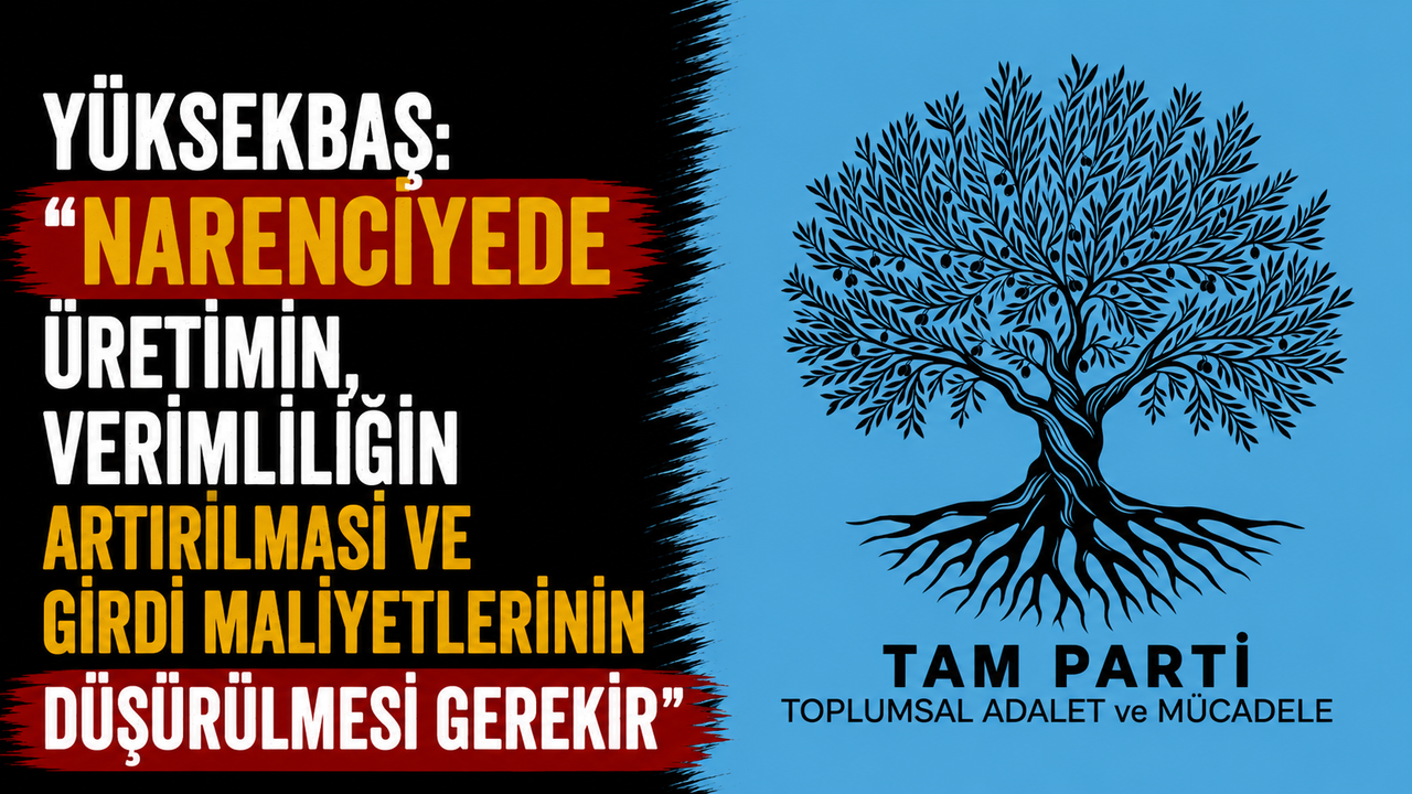 Yüksekbaş: “Narenciyede üretimin, verimliliğin artırılması ve girdi maliyetlerinin düşürülmesi gerekir”