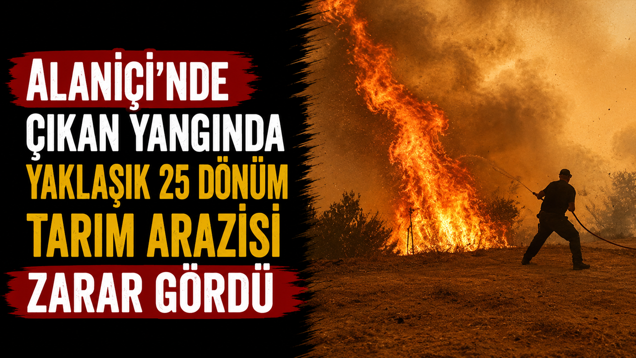 Alaniçi'nde çıkan yangında yaklaşık 25 dönüm tarım arazisi zarar gördü