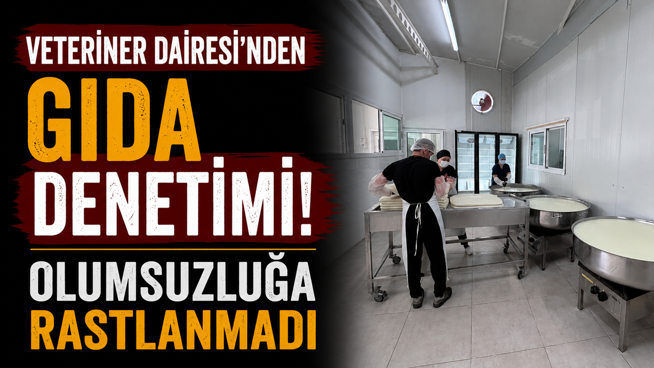 Veteriner Dairesi’nden gıda denetimi... Olumsuzluğa rastlanmadı