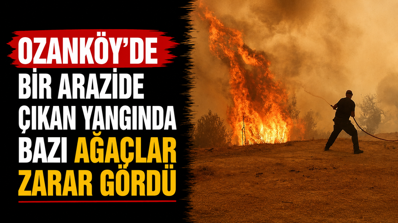 Ozanköy’de bir arazide çıkan yangında bazı ağaçlar zarar gördü