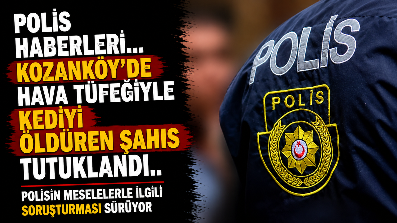 Polis haberleri... Kozanköy’de hava tüfeğiyle kediyi öldüren şahıs tutuklandı