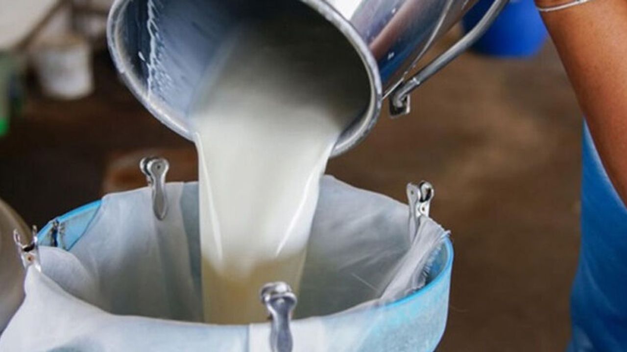Süt bedelleri ödendi… Üreticilere 210 milyon 943 bin 127 TL ödeme yapıldı