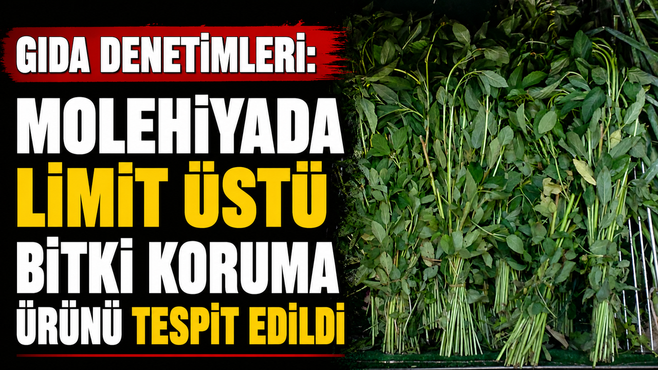 Gıda denetimleri: Molehiyada limit üstü bitki koruma ürünü tespit edildi