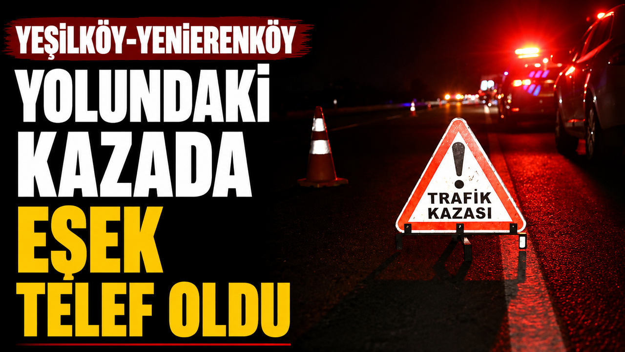Yeşilköy-Yenierenköy yolundaki kazada eşek telef oldu
