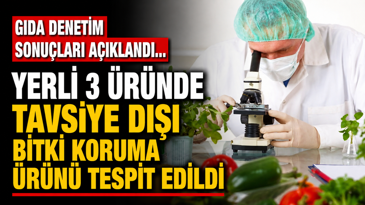 Gıda denetim sonuçları açıklandı… Yerli 3 üründe tavsiye dışı bitki koruma ürünü tespit edildi
