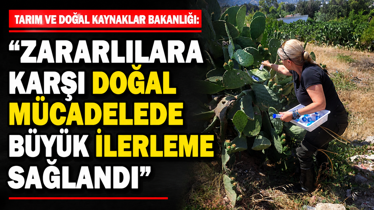 Tarım ve Doğal Kaynaklar Bakanlığı: “Zararlılara karşı doğal mücadelede büyük ilerleme sağlandı”