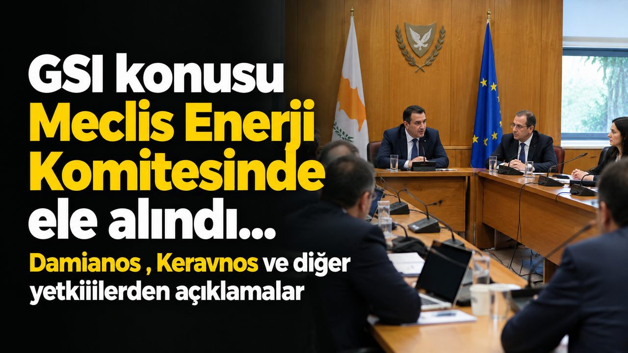 GSI konusu Meclis Enerji Komitesinde ele alındı...Damianos , Keravnos ve diğer yetkililerden açıklamalar
