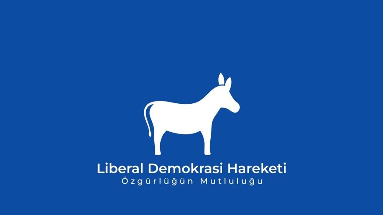 LDH’den kadınlara yönelik şiddetle mücadelede kriz masası kurulması ve yasal düzenleme çağrısı
