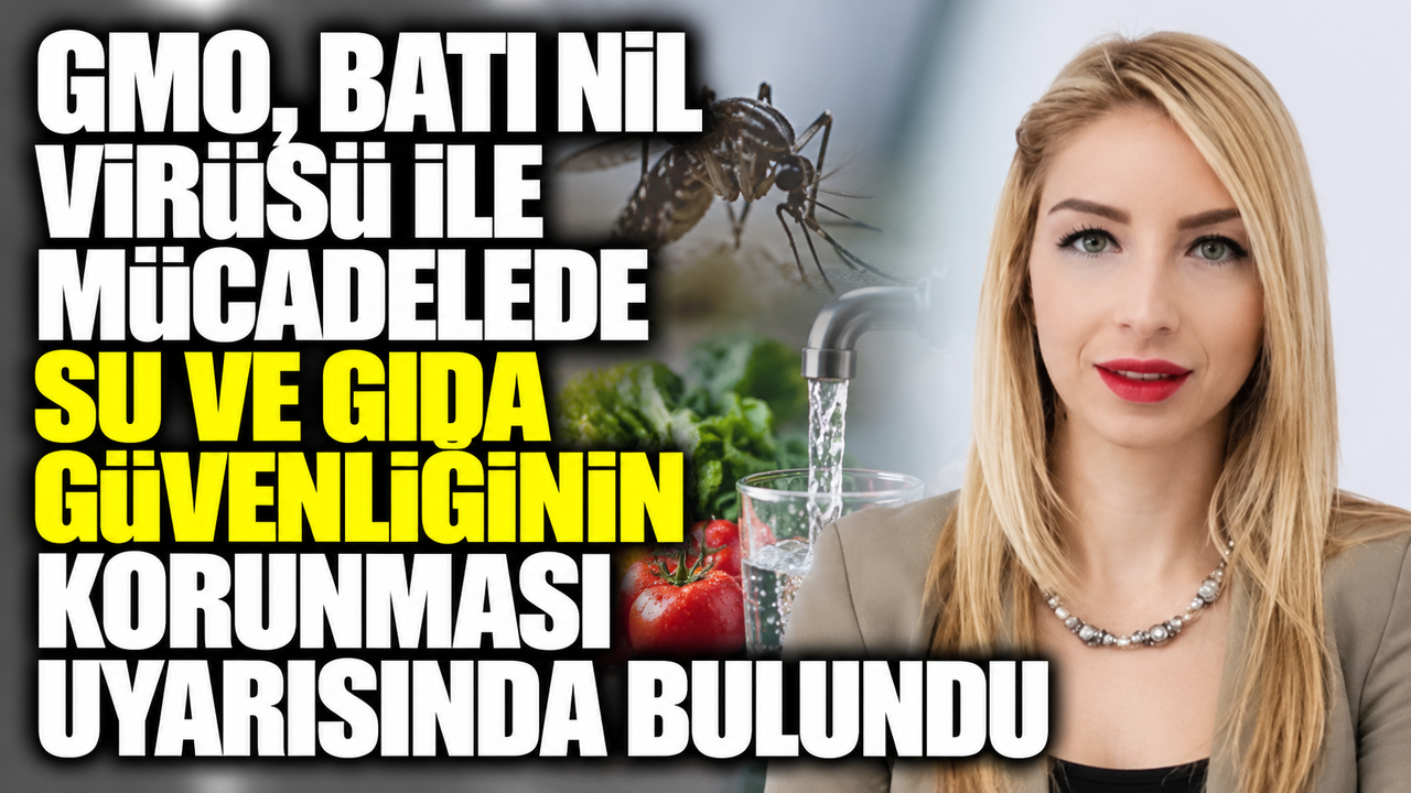 GMO, Batı Nil Virüsü ile mücadelede su ve gıda güvenlinin korunması uyarısında bulundu