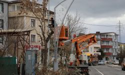 İzmit'te ağaç budama çalışmaları sürüyor