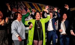 Hollanda'da Eyalet Seçimlerini, İlk Defa Katılan Çiftçi Vatandaş Hareketi Partisi Kazandı