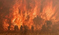 İspanya'da Çıkan Orman Yangınında 250 Kişi Evlerinden Tahliye Edildi