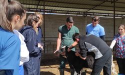 Tarım Bakanlığı, Hayvan Hastalıkları Kontrol Ve Eradikasyon Programında Kaydedilen İlerlemeleri Kamuoyuyla Paylaştı