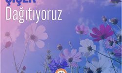Gazimağusa Belediyesi, Yarından İtibaren Halka Ücretsiz Olarak Çiçek Dağıtmaya Başlıyor