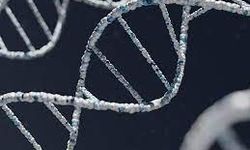 ABD'deki Çalışmaya Göre, Ayak İzi Veya Nefesten İnsan DNA'sı Tespit Edilebiliyor