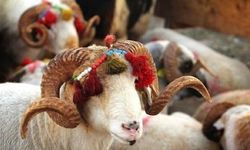 Kurban Bayramı yarın başlıyor
