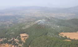 Muğla'da Çıkan Yangın Kontrol Altına Alındı: 1 Kişi Gözaltına Alındı
