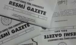 Bakanlar Kurulu’nun onayladığı bazı tüzükler ve aldığı kararlar Resmi Gazete’de yayımlandı