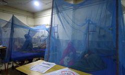 Bangladeş'te Dang Hummasından Hayatını Kaybedenlerin Sayısı 398'e Çıktı