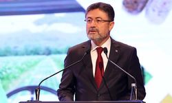 Çanakkale Ve Eskişehir'deki Orman Yangınları Kontrol Altına Alındı