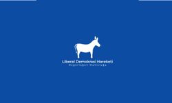 Liberal Demokrasi Hareketi: Kamu kaynakları verimli yönetilmeli ve israf edilmemeli