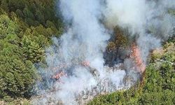 Muğla'da Çıkan Orman Yangınına Müdahale Ediliyor