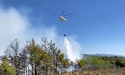 Alanya'da Çıkan Orman Yangını Devam Ediyor