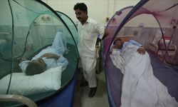 Bangladeş'te Dang Hummasından Hayatını Kaybedenlerin Sayısı 618'e Çıktı