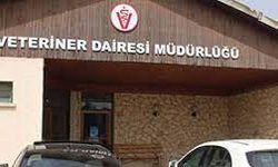 Veteriner Dairesi Girne’de yapılan baskında etiket bilgisi olmayan ürünleri imha etti
