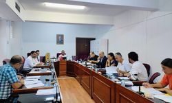 “Enerji Dairesi (Kuruluş, Görev Ve Çalışma Esasları) Yasa Tasarısı”nın Görüşülmesine Başlandı