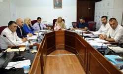 Cumhuriyet Meclisi, Hukuk, Siyasi İşler ve Dış İlişkiler Komitesi toplandı