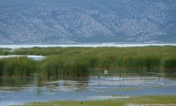 Yunanistan'daki Karla Gölü, sel sonrası 61 yıl önceki yüzölçümünü aştı