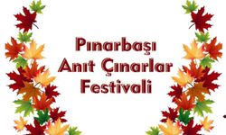 Pınarbaşı Anıt Çınarlar Festivali Ertelendi